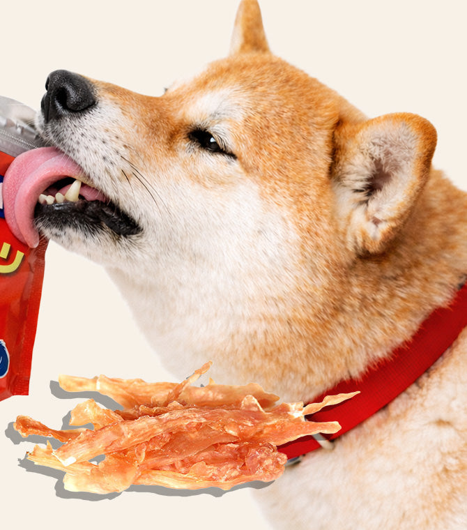 Chewy Treats