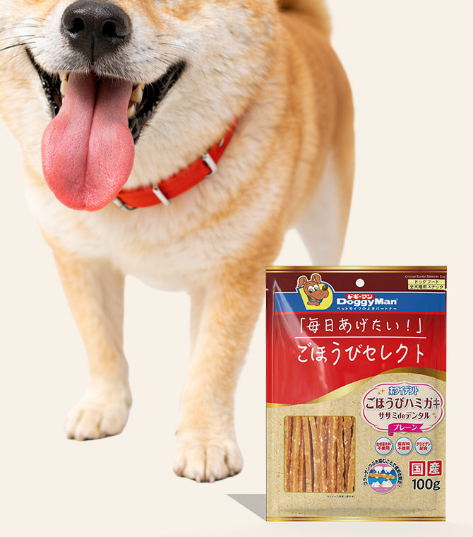 Dental Treats